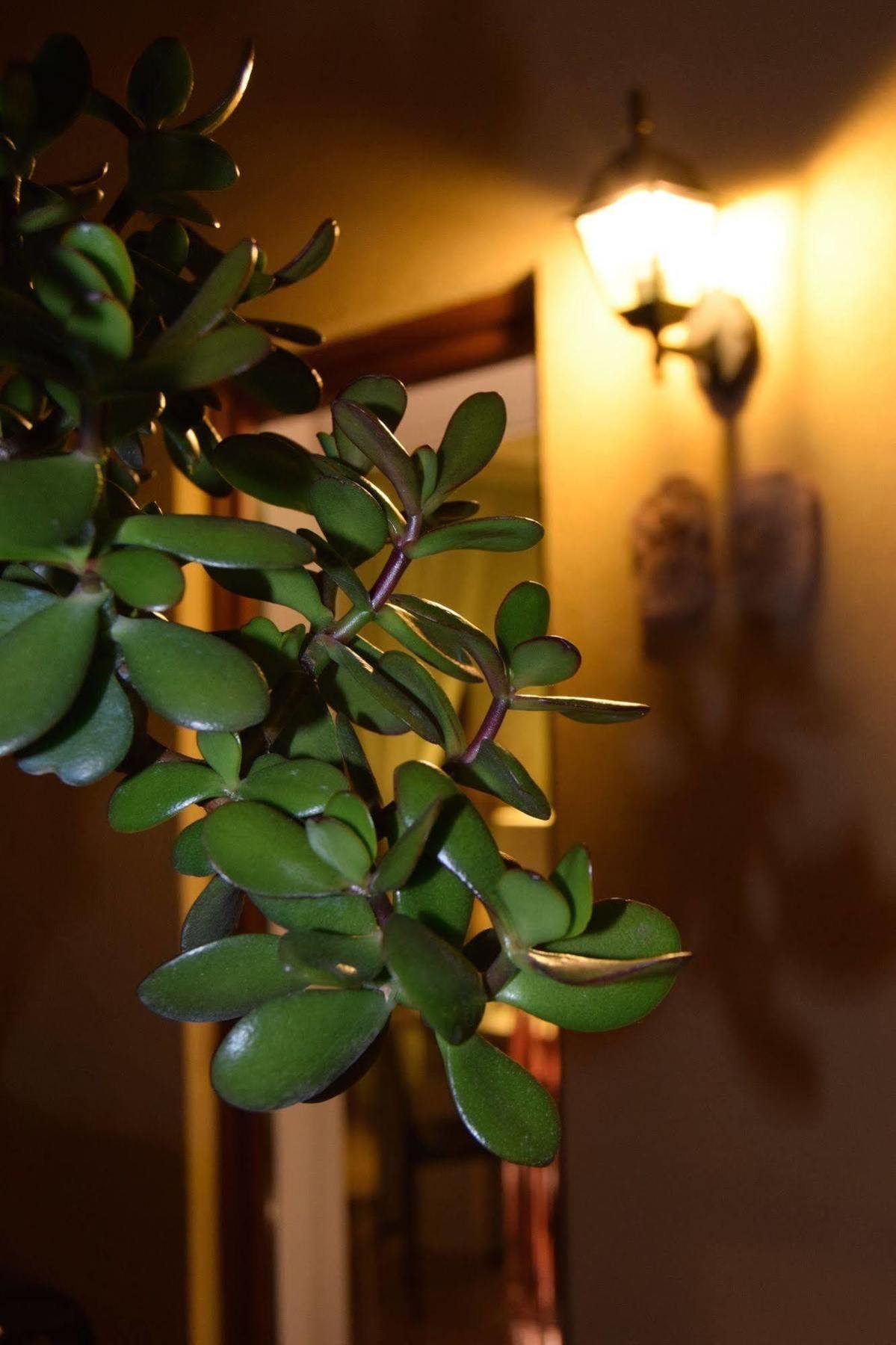 Residenza Le Due Torri Aparthotel Ρίβα ντελ Γκάρντα Εξωτερικό φωτογραφία